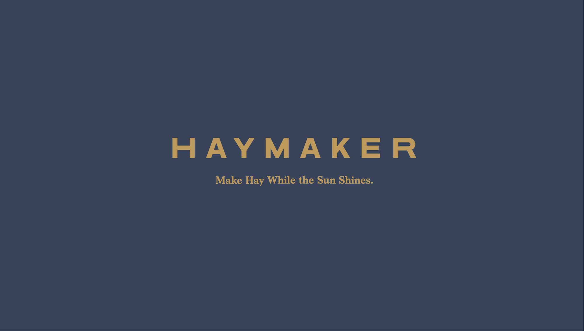 Haymaker | SDCO Partners