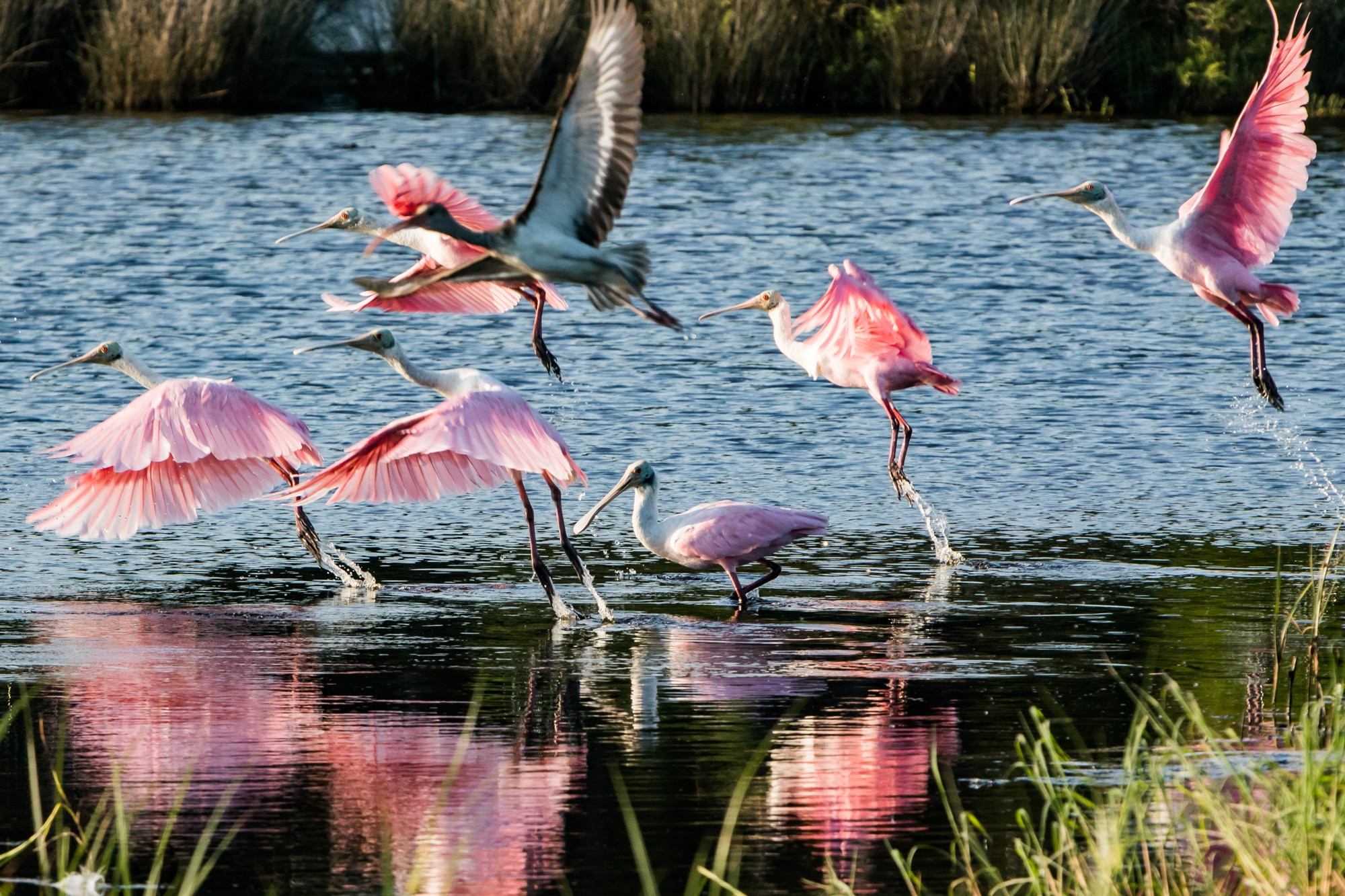 Kiawah River | SDCO Partners