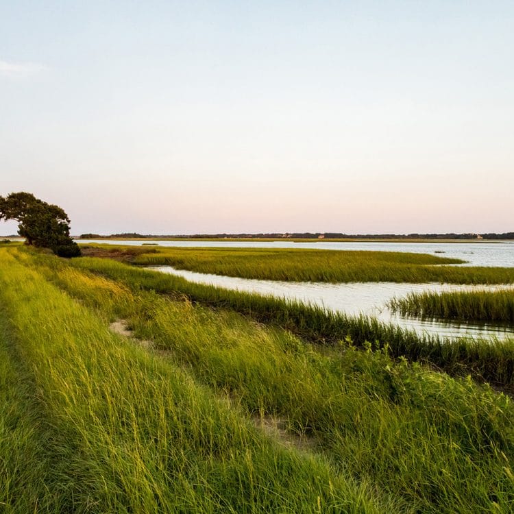 Kiawah River | SDCO Partners