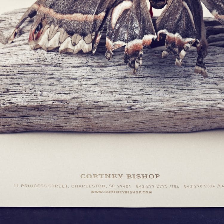 Cortney Bishop | SDCO Partners