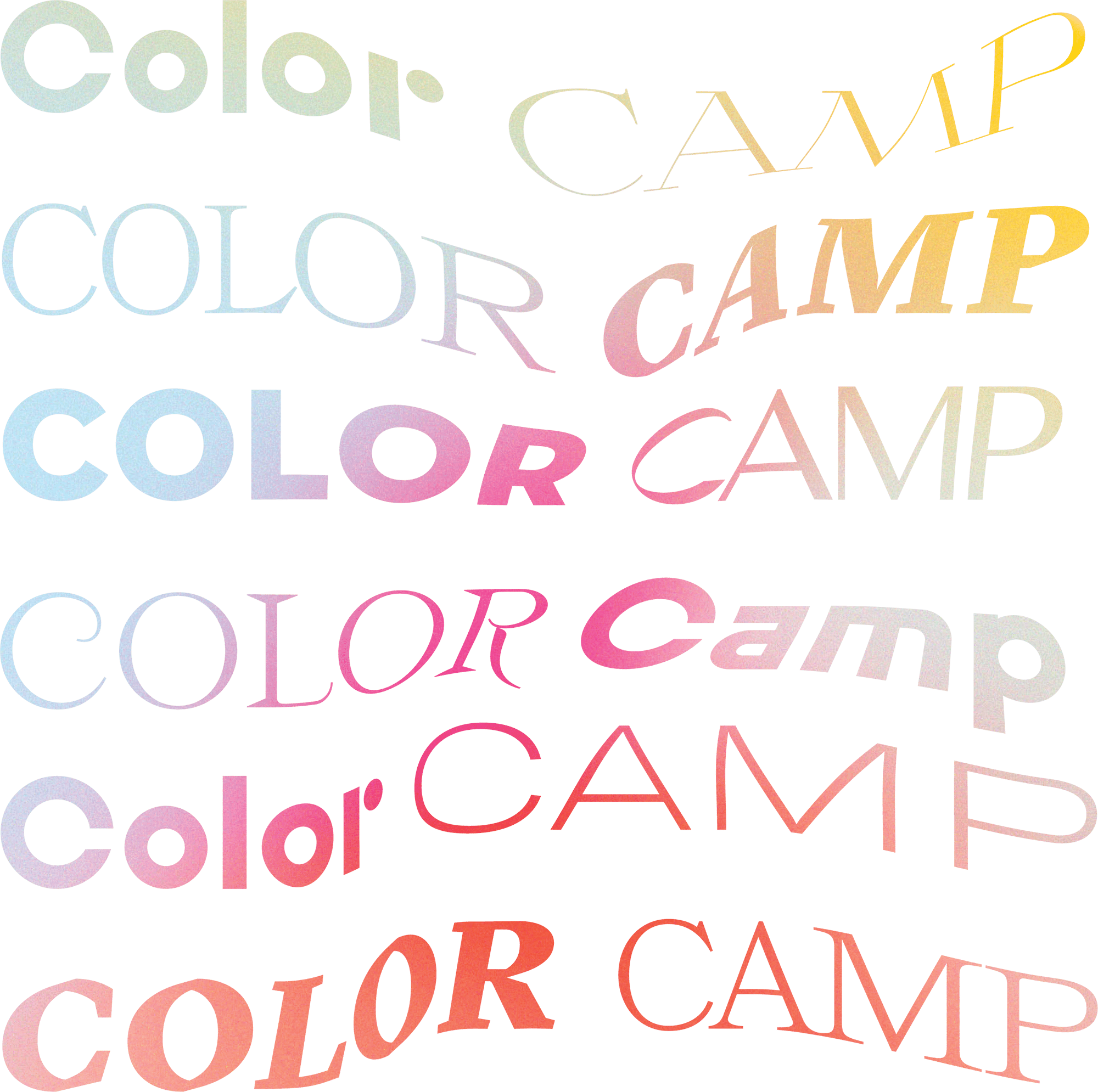 Color Camp | SDCO Partners